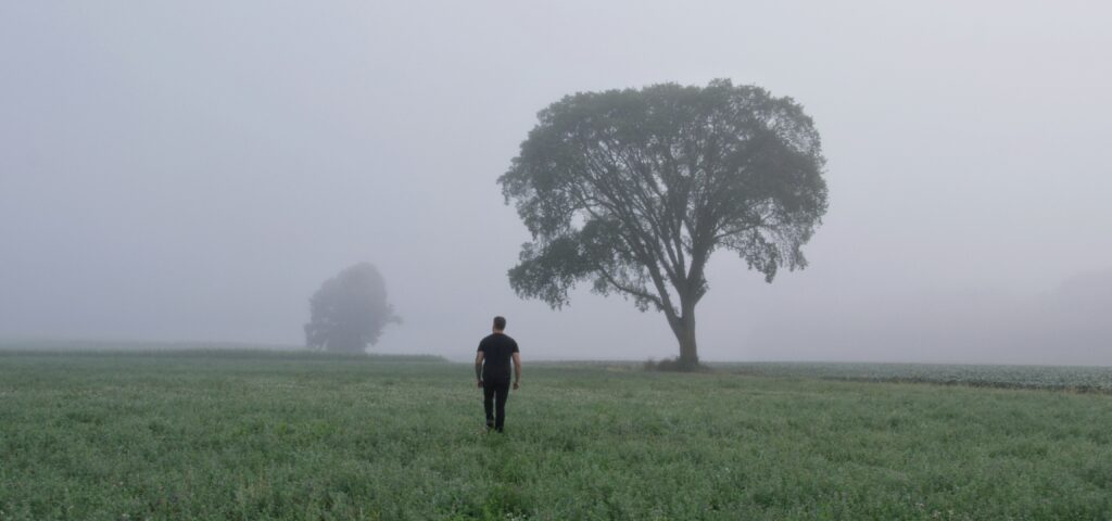 person standing by tree in foggy background