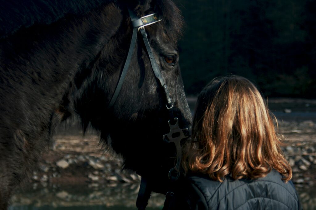 woman caressing a horses's snout from behind